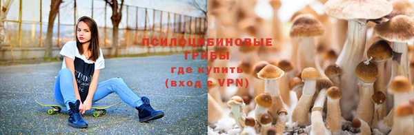 гашик Балабаново